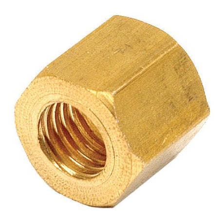 A Sparex Exhaust Manifold Nut (Part No. S.62662), constructed from brass and featuring a hexagonal shape, with an internal threaded hole, M8 x 1.25mm, compatible with Sparex components.