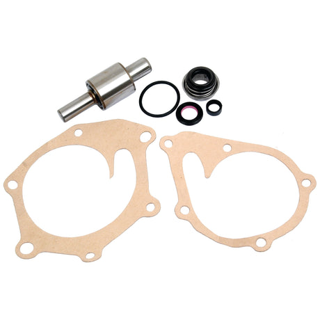 A set of engine gaskets, seals, and a metal valve part from a Sparex Water Pump Repair Kit (Part No. S.63113) are laid out on a white background.