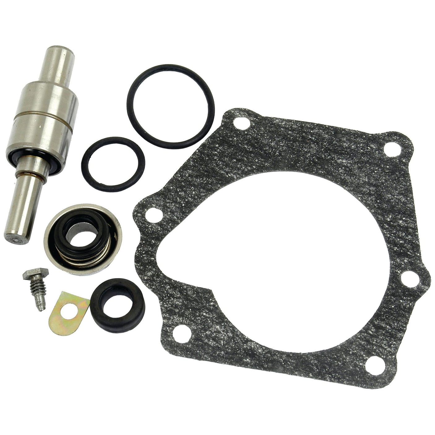 Various mechanical parts, including gaskets, O-rings, a screw, a small washer, and a metal cylindrical component from the Sparex Water Pump Repair Kit (Part No. S.63116), are displayed against a white background.