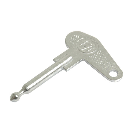 A metallic key with a cylindrical shaft and a triangular head, featuring a hole for attachment, designed specifically as the Ignition Key | Sparex Part No. S.64113 by Sparex for ignition switches.