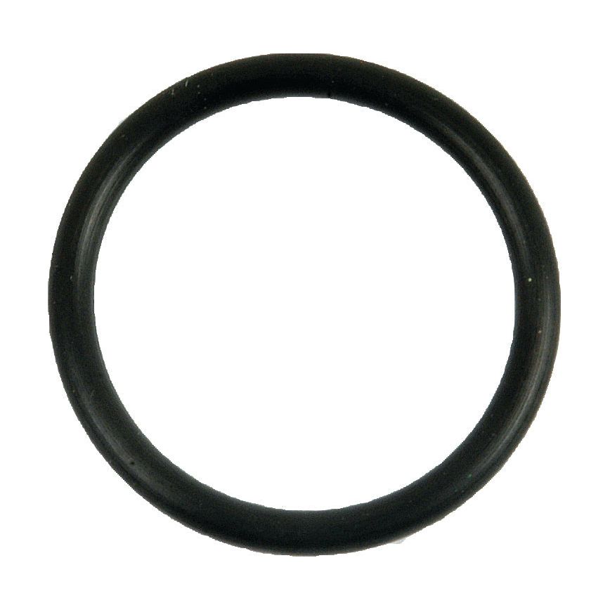 A circular black rubber O-ring, known as the Filter Gasket - Oil (Sparex Part No. S.64691) by Sparex, designed for Zetor oil filters, on a white background.