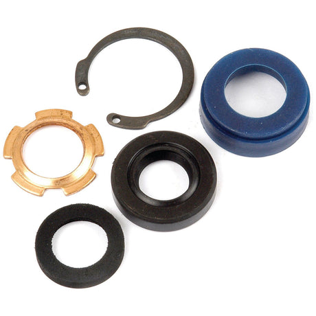 Assorted mechanical components, including a blue ring, a black ring, a bronze ring, a brass ring, and a black washer arranged on a white background. Perfect for use in Power Steering Hydraulic Cyl applications or compatible with Ford New Holland tractors. Featured product: Seal Kit (Power Steering Hydraulic Cyl.) | Sparex Part No.S.65136 by Sparex.