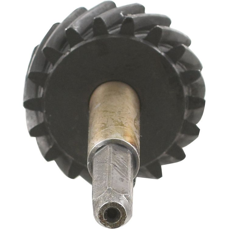 Close-up of the Engine Oil Pump Gear and Shaft Assembly (Sparex Part No. S.65267) from Sparex, featuring a cylindrical shaft and toothed edge, viewed from the end of the shaft. This component is essential in Ford/New Holland engine oil pump systems.