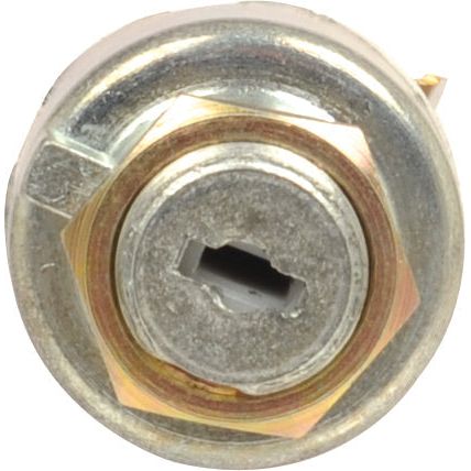 Close-up image of the Sparex Ignition Switch, Part No. S.65570; a cylindrical metal part featuring a hexagonal nut and a keyhole in the center, designed for Ford/New Holland machinery.