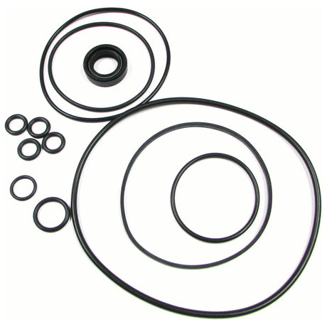 A variety of black rubber O-rings and seals from the Sparex Seal Kit (Sparex Part No. S.65664), including options for Ford/New Holland, arranged on a white background.