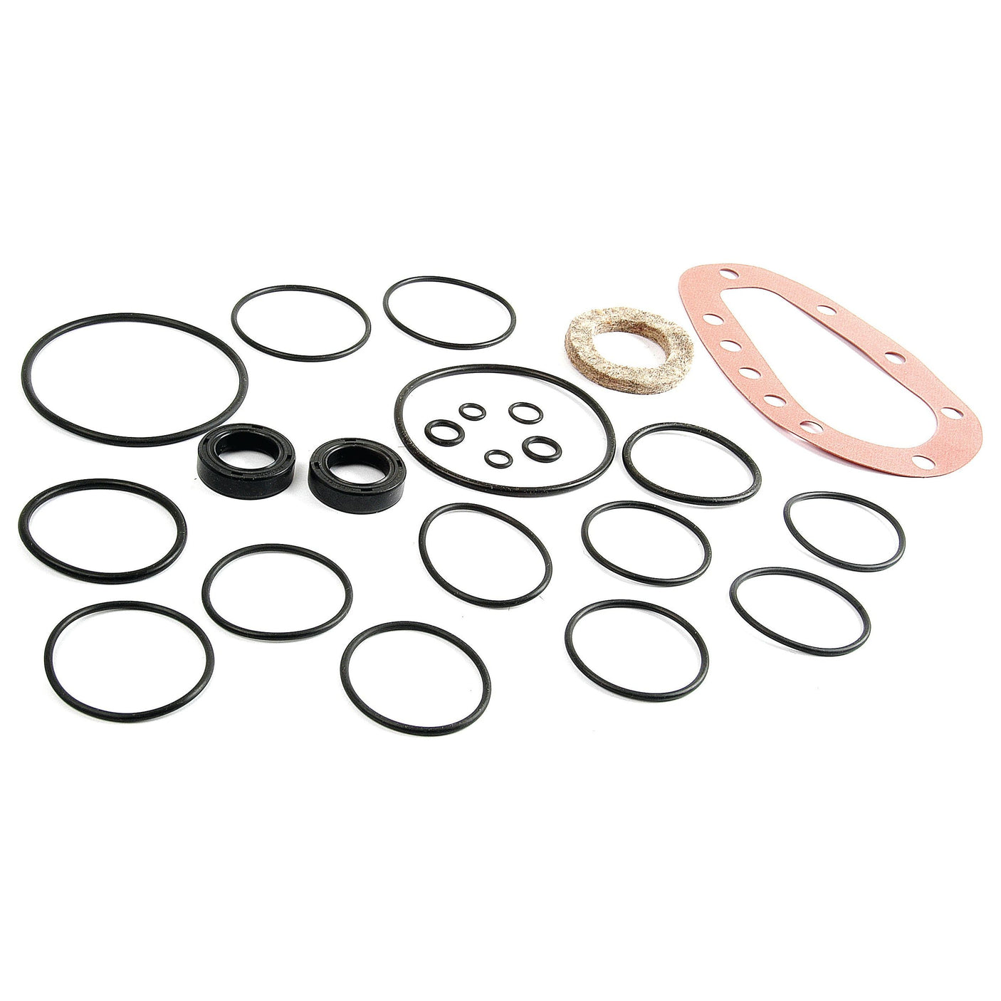 A collection of various rubber O-rings, a cork gasket, and a pink gasket arranged on a white background, resembling components from the Sparex Orbital Motor Seal Kit (Sparex Part No. S.65782).