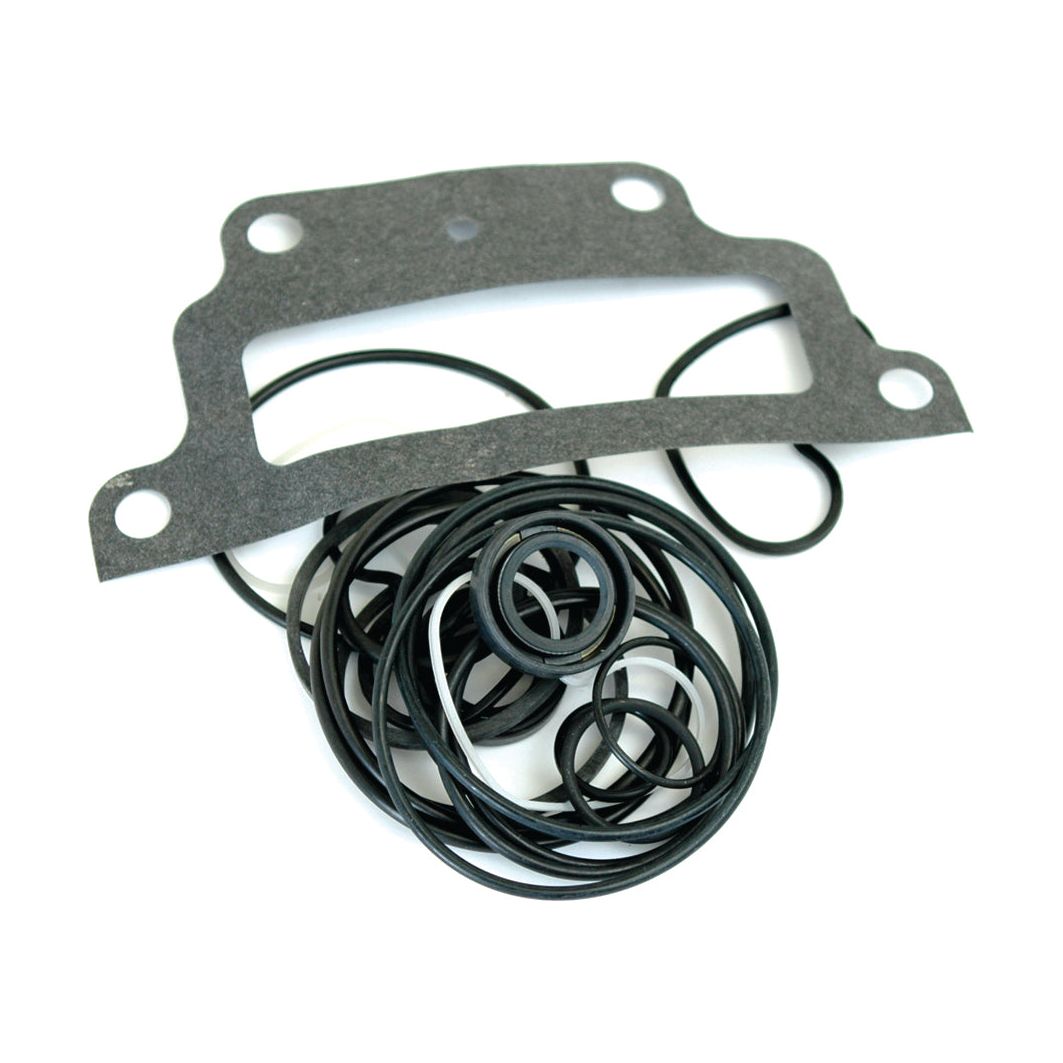 A Seal Kit (Engine Hydraulic Pump), featuring a collection of black O-rings and a gray gasket, suitable for a Case IH engine hydraulic pump, is arranged on a white background. This product is by Sparex, Part No. S.65898.