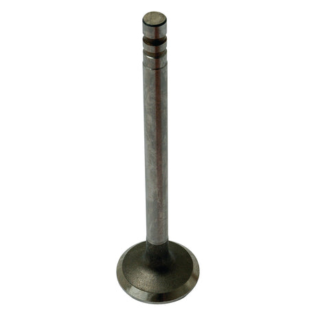 A single metal engine valve stands upright against a white background, showcasing the precise craftsmanship seen in parts like the Sparex Exhaust Valve +0.015'' (0.38mm) | Sparex Part No.S.65928.