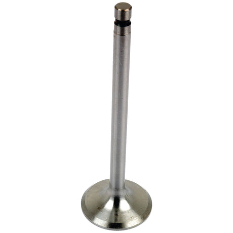 Sparex Inlet Valve (Part No. S.65929) is a single engine valve featuring a metal stem, black tip, and flat disc-shaped end, designed to be compatible with New Holland tractors.