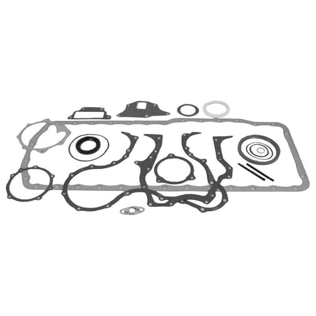 A laid-out set of various engine gaskets and seals from the Sparex Bottom Gasket Set - 6 Cyl. (BSD666, BSD666T, BSD666TI, PowerStar 6.6, PowerStar 7.5, PowerStar 7.5T) | Part No. S.66310.