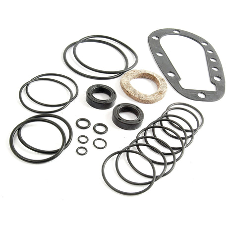 A collection of assorted black rubber O-rings and gaskets of various sizes, perfect for the Sparex Orbital Motor Seal Kit (Sparex Part No. S.66377), is laid out on a white background.