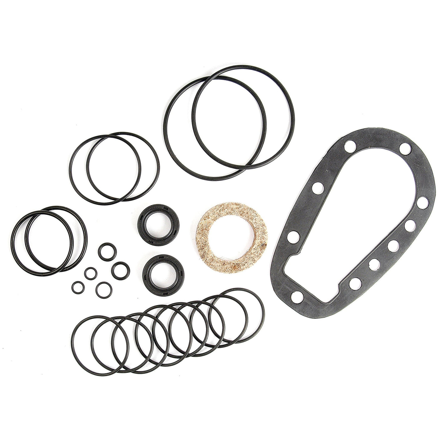 A collection of various rubber and gasket seals of different sizes, including a precision-engineered Sparex Orbital Motor Seal Kit (Sparex Part No. S.66377), arranged neatly on a white background.