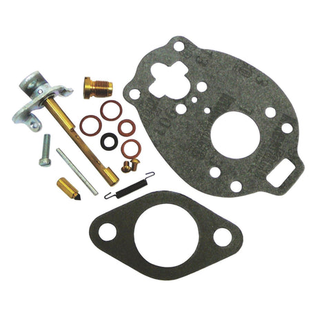 A Sparex Carburettor Repair Kit (Part No. S.66446) featuring gaskets, screws, a needle valve, washers, and other small mechanical components arranged neatly against a plain white background. Perfect for maintaining Massey Ferguson machinery.