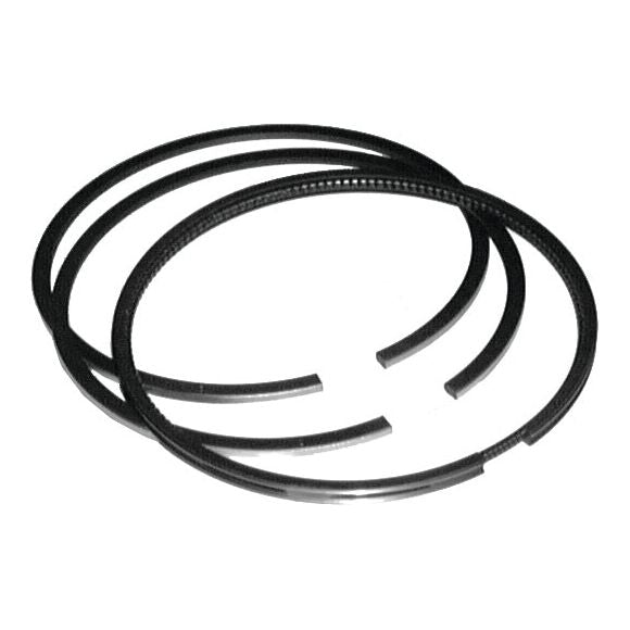 Three black piston rings of varying sizes, part of the Sparex Piston Ring Std. set (Sparex Part No. S.66525) for a Fiat G170, placed next to each other on a white background.