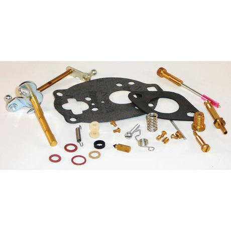 Assorted carburetor parts including gaskets, springs, washers, screws, and needles arranged on a white background—the ideal Sparex Carburettor Repair Kit (Part No. S.66893) for Ford / New Holland and Massey Ferguson models.