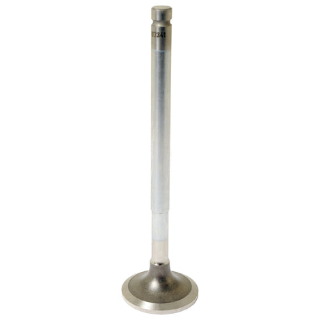 An Exhaust Valve Standard, Sparex Part No. S.67341 by Sparex, featuring a flat, circular end and a cylindrical stem, stands upright against a white background.