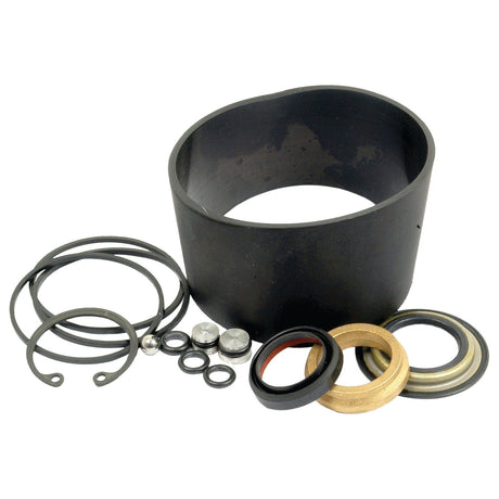 A set of black and gold mechanical seals, O-rings, and snap rings arranged on a white background, perfect for your Ford New Holland or Case IH machinery. Introducing the Seal Kit | Sparex Part No. S.67429, brought to you by Sparex.