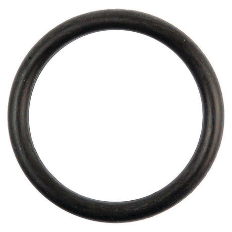 A close-up image of the O Ring 1/8'' x 1 1/8'' (BS216) 70 Shore, made by Sparex and known for its Nitrile Rubber composition and Shore Hardness of 70, commonly used as a sealing gasket.