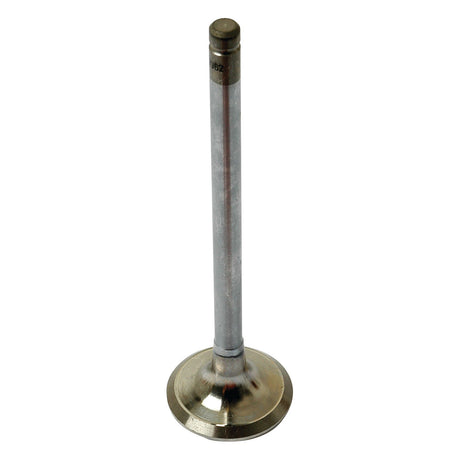 An Exhaust Valve Standard with a cylindrical stem and flat, circular head, compatible with Deutz-Fahr models (Sparex Part No. S.69962) by Sparex.