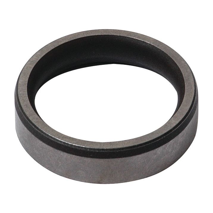 A metal, ring-shaped object featuring a dark inner coating and reflective outer surface, akin to the Valve Seat (Sparex Part No. S.69965) by Sparex.