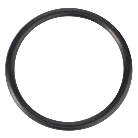 Massey Ferguson - O Ring - 70923568 - Farming Parts