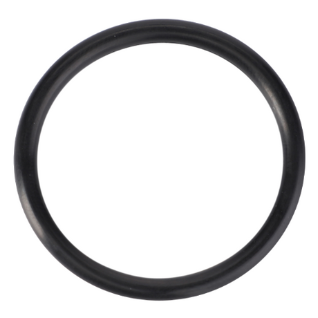 Massey Ferguson - O Ring - 70923813 - Farming Parts