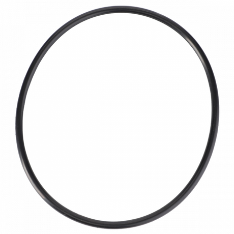 A black rubber O-ring photographed against a white background, reminiscent of the Massey Ferguson - O-Ring - 378231X1, a reliable component from AGCO.