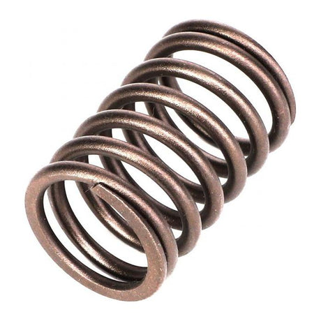 Massey Ferguson - Valve Spring - 731154M1 - Farming Parts