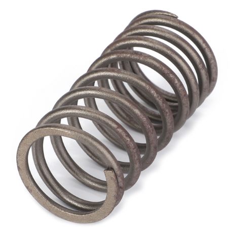 Massey Ferguson - Valve Spring - 735525M1 - Farming Parts