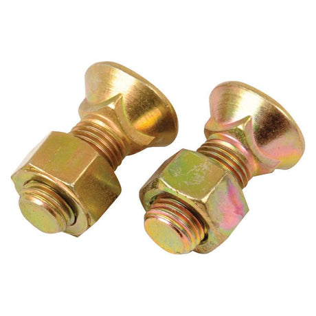 Two Sparex Round Countersunk Square Hex Bolts & Nuts (TFCC) - 3/8'' x 25mm, Tensile strength 8.8, with hexagonal nuts attached are positioned upright against a plain white background.