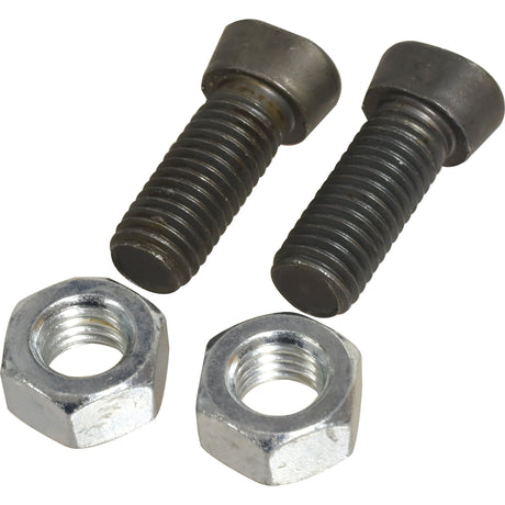 Two **Conical Head Bolt 2 Flats With Nut (TC2M) - M12 x 37mm** from **Sparex**, with a tensile strength of 12.9, are arranged on a white background. The dark-colored bolts contrast with the shiny silver hex nuts, highlighting their robustness and durability.