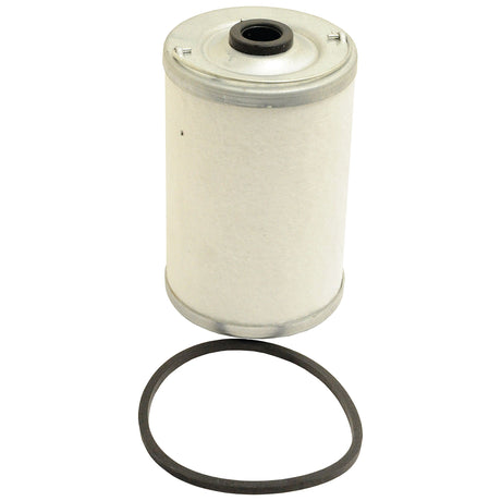 A fuel filter element and a circular rubber gasket from Sparex.