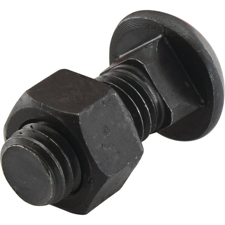 A Cup Head Bolt (TBCC) - M12 x 30mm by Sparex, with a hex nut threaded onto it, shown against a plain white background, demonstrating an impressive tensile strength of 12.9.