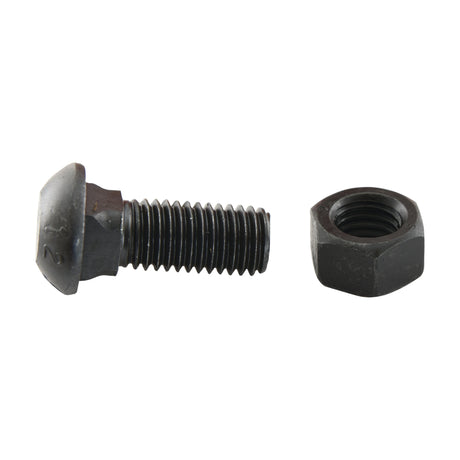 A black Cup Head Bolt (TBCC) - M12 x 30mm from Sparex and a matching hex nut are placed on a white background. The bolt, part number S.78141, features a semi-rounded head and threaded shaft with an impressive tensile strength of 12.9, while the hex nut is characterized by its six-sided shape.