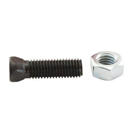 A Sparex Conical Head Bolt 4 Flats With Nut (TC4M) - M12 x 32mm, tensile strength 10.9, next to a silver hex nut on a white background.