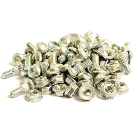 Bolt & Nut M6 x 16mm (50 pcs. Agripak)
 - S.79398 - Farming Parts