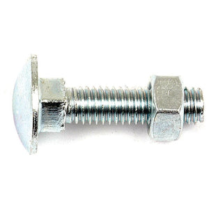 Metric Carriage Bolt and Nut, Size: M6 x 75mm (Din 603/555)
 - S.8234 - Farming Parts