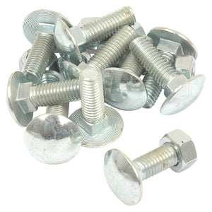 Metric Carriage Bolt and Nut, Size: M8 x 25mm (Din 603/555)
 - S.8244 - Farming Parts