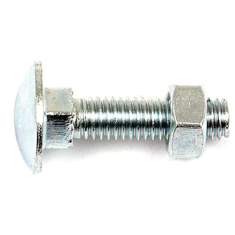 A single Metric Carriage Bolt and Nut, M8x60mm (DIN 601/934) from Sparex (Part No. S.8250), zinc-plated with a square neck, is shown against a plain white background.