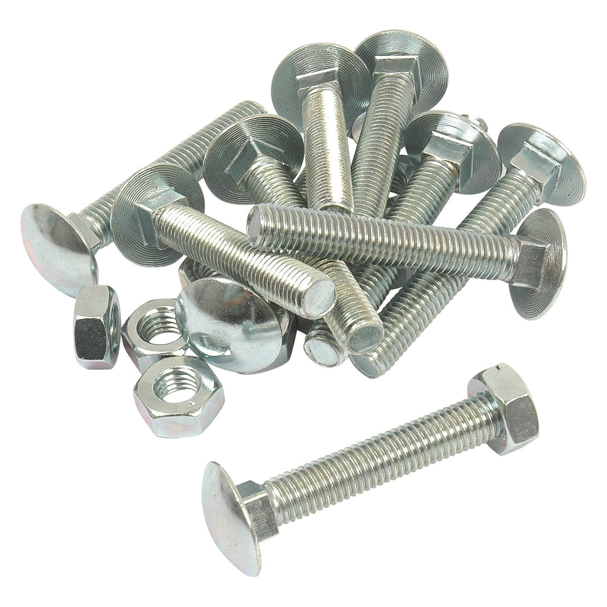 Metric Carriage Bolt and Nut, Size: M10 x 65mm (Din 603/555)
 - S.8273 - Farming Parts