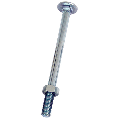 Metric Carriage Bolt and Nut, Size: M10 x 160mm (Din 603/555)
 - S.8284 - Farming Parts