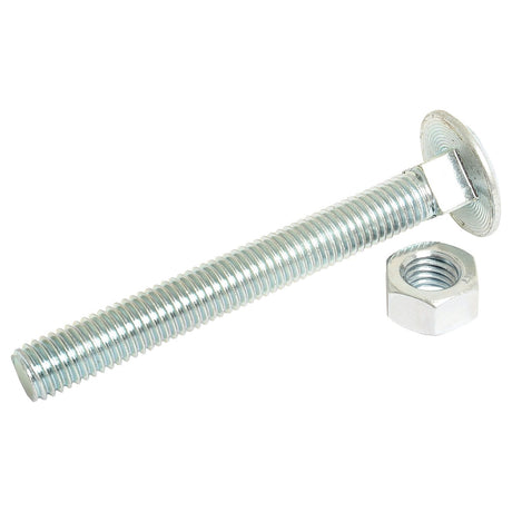 Metric Carriage Bolt and Nut, Size: M12 x 100mm (Din 603/555)
 - S.8306 - Farming Parts