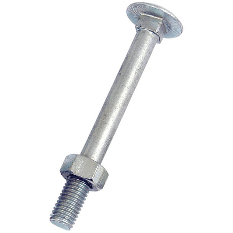 Metric Carriage Bolt and Nut, Size: M12 x 110mm (Din 603/555)
 - S.8307 - Farming Parts