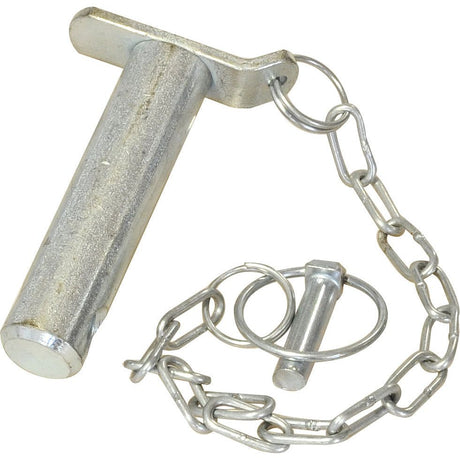 A Frame Lower Link Pin & Chain
 - S.23987 - Farming Parts