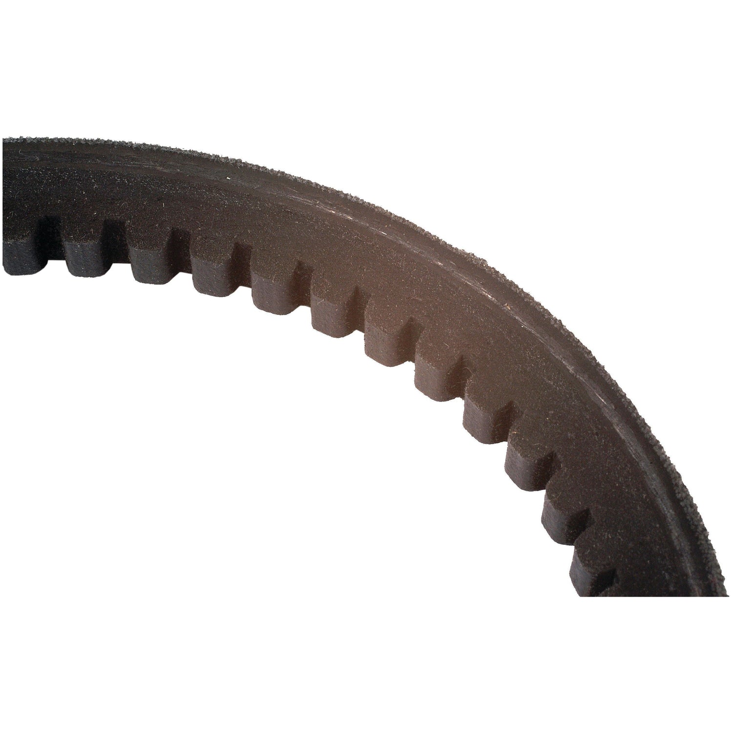 Close-up of a Sparex Cogged Raw Edge Belt - XPA Section (Belt No. XPA832, Sparex Part No. S.18996), typically used in mechanical or automotive applications for power transmission.