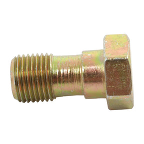A Banjo Bolt, Sparex Part No. S.41880, showcasing a goldish sheen and featuring a threaded cylindrical shaft and hexagonal head, reminiscent of the quality found in Massey Ferguson machinery.