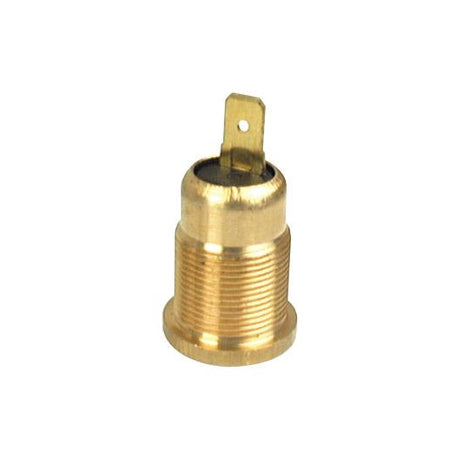 Beacon Fixing Pin (Screw Type)
 - S.14846 - Farming Parts