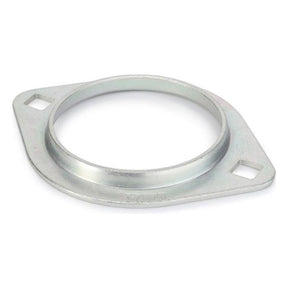 A metal circular flange, akin to the AGCO Massey Ferguson Bearing Carrier Plate (Product Number: 3386986M1), with two mounting holes on opposite sides.