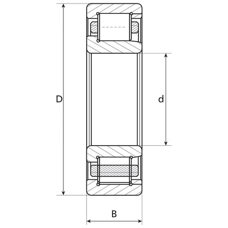 Technical drawing of a cylindrical roller bearing with labeled dimensions: outer diameter (D), inner diameter (d), and width (B), available from Massey Ferguson under the product name Bearing - S.40782 by Sparex.