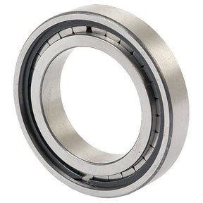 A metal cylindrical roller bearing with an open ring structure, featuring its inner and outer raceways, perfect for Massey Ferguson machinery. Introducing the Sparex Bearing - S.40782.